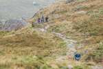 Peris Horseshoe-545