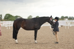 SBM_07672