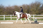 SBM_004386