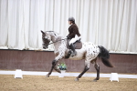 SBM_02464