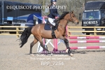 BPP_7254