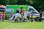 SBM_06464