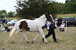 WJ6_5577