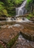 Scaleber Force