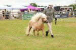 SBM_04458
