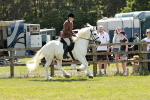 SBM_07050