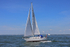 180603 CORNISH GOLD GBR2264L 1Y3A4063_Edit