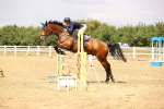 SBM_026219