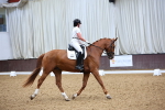 SBM_019249