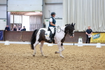 SBM_008980