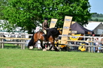 SBM_09356