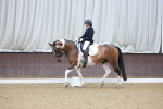 SBM_001198