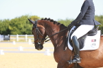 SBM_009550