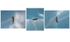 Rock triptych