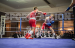 Bout - 6_Sam Masterman v Harry Roberts-5