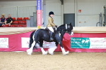 SBM_06169