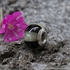 Whitby Jet & Baltic Amber Bumble Bead jbe016