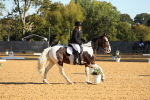 SBM_16461