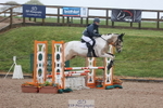 223-Erin.Alys.Marriott-RATHMORRISSEY.LADY.GWEN portfolio