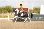 SBM_04817