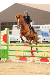 SBM_009905