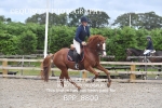 BPP_8800