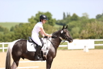 SBM_008616