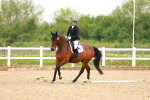 SBM_006555