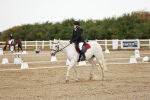 SBM_001173