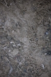 SBM_006193