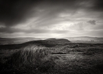 Bardon Moor