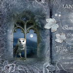 January - Birch Moon