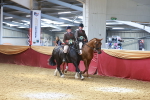 SBM_15008