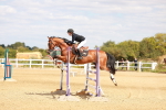SBM_006591