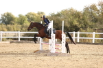 SBM_000673