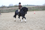 SBM_007080