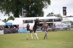 SBM_09913