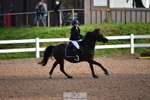231028A-101500-00352_Cls 1 Pony 70cm