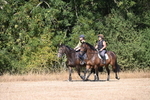 WJ6_7849