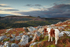 Sheeps Tor