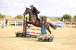 SBM_008069