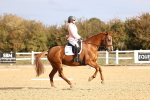 SBM_009152