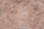 240505A-092826-04223