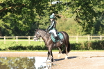 SBM_17358