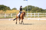 SBM_012420