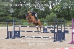 BPP_3393