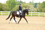 SBM_005522