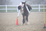 SBM_001067