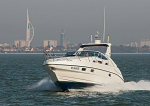 110930 ICARUS SEALINE MG_0123