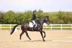 SBM_008360